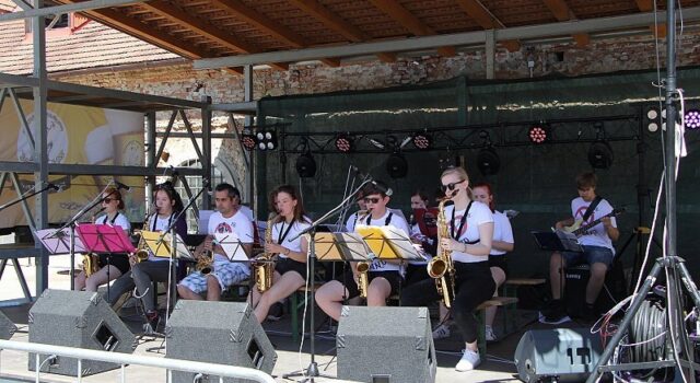 no_band_svec_11_6_2022_02